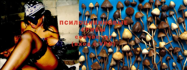 хмурый Нягань
