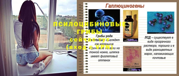хмурый Нягань