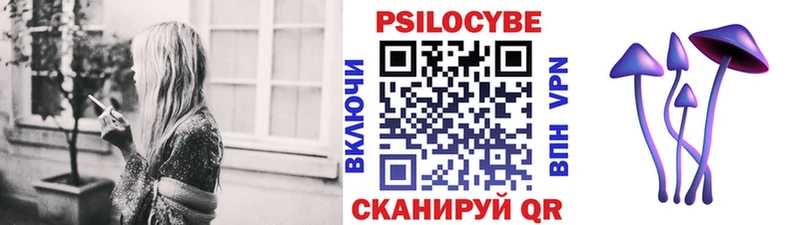 купить наркотики цена  Новая Усмань  Галлюциногенные грибы GOLDEN TEACHER 